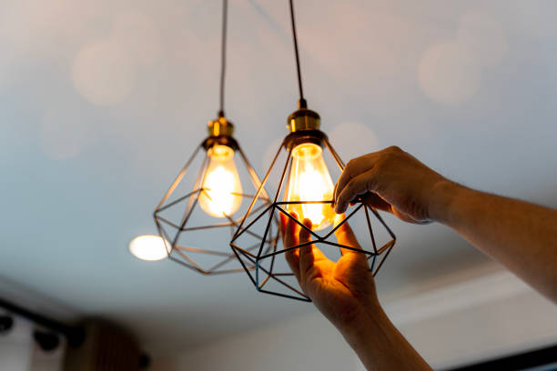 Best 24-Hour Electrician  in Fish Hawk, FL