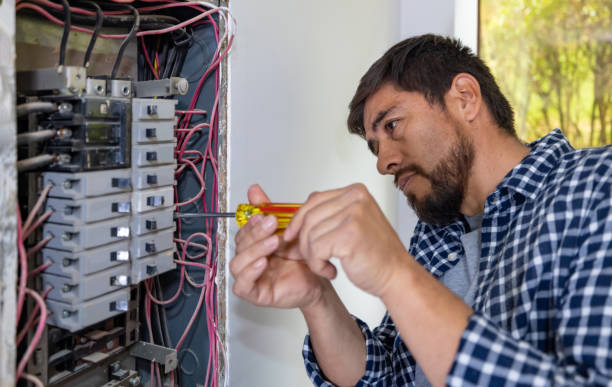 Best Electrical System Inspection  in Fish Hawk, FL